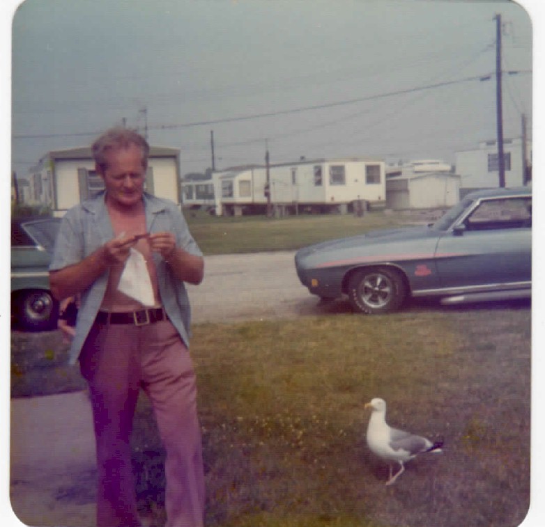 July 1973 - Jonathon the Seagull begging for ribs with the GTO in the background Portsmouth RI